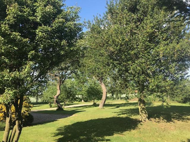 Dairy Barns Holiday Cottages NWI Eksteriør bilde